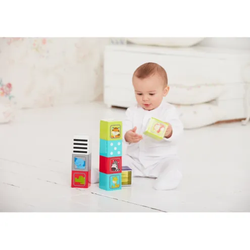 Early Learning Centre Jungle Wonder Cubes