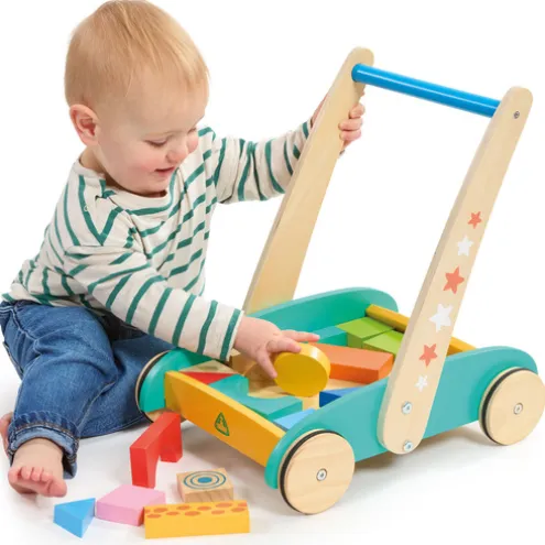 Early Learning Centre Wooden Toddle Truck and Bricks