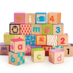 Early Learning Centre Wooden Alphabet Blocks