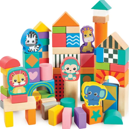 Early Learning Centre Wooden Bricks