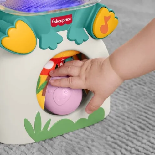 Fisher-Price Light-Up And Roll Frog Musical Ball Drop Activity Toy