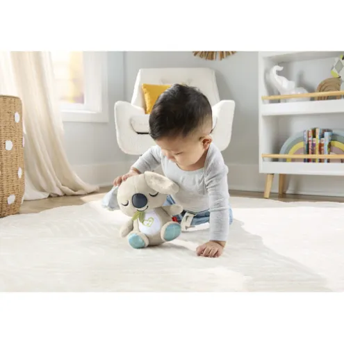 Fisher Price On The Go Koala Soft Toy