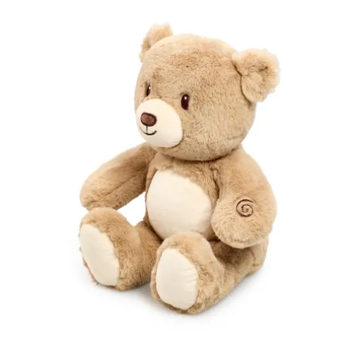 Light Up Bear Soft Toy