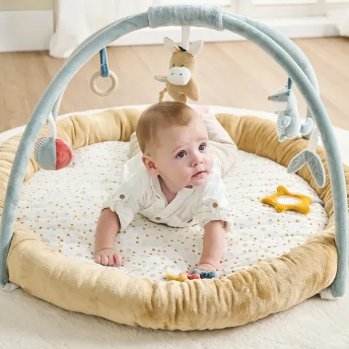 Nattou Felix and Leo Stuffed Playmat with Arches
