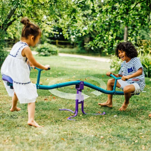 Plum Purple Rotating See Saw