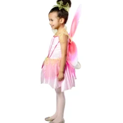 Rubies 3-4 Years Spring Time Fairy Dress Up Costume