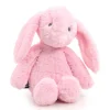 Snuggle Buddies Bobbins Bunny Soft Toy