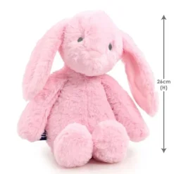 Snuggle Buddies Bobbins Bunny Soft Toy